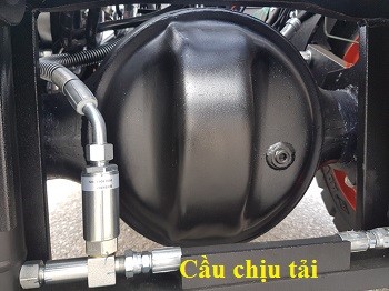 Hệ thống cầu chịu tải